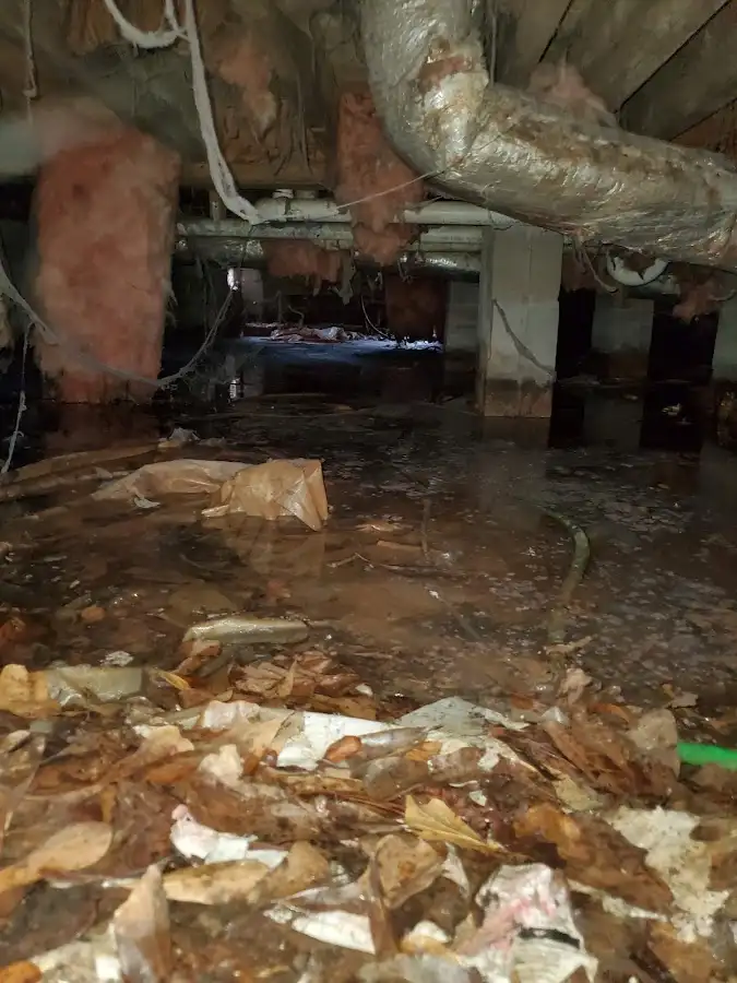 Crawl space flood assessment for Leak Detection & Repair in Crouch Mesa