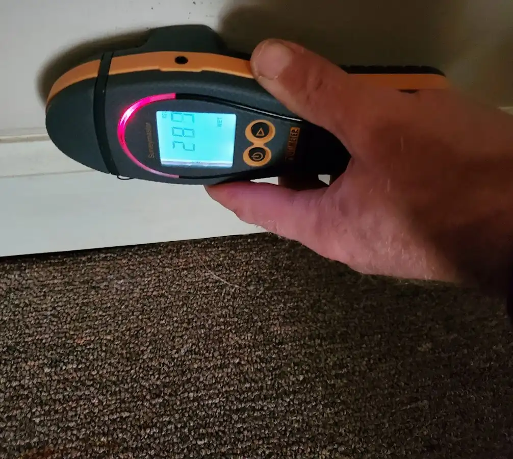 Moisture detection at baseboard during Sewage Cleanup & Sanitation in Crouch Mesa